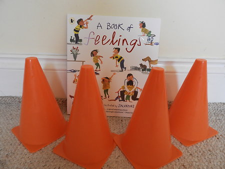 Gallery. feelings book and cones