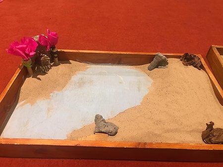 Gallery. sandtray training1